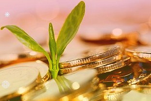 金融助推乡村振兴